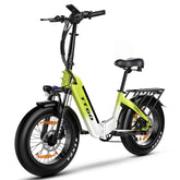 TTGO F6 Electric Bike – 250W Motor 36V25AH Battery 20 Inch Tires Oil Brakes – White Green