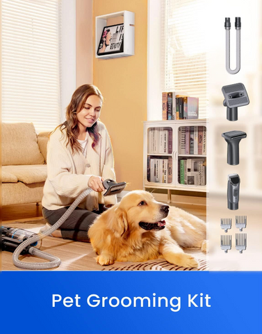 Proscenic P11 - High-Power Cordless Vacuum | 450W, 25000Pa