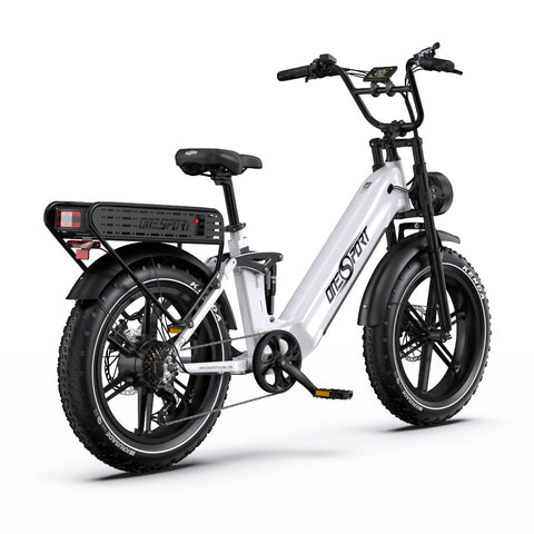 Electric Bike ONESPORT OT08 PRO - Motor 500W Battery 48V18AH*2 20 Inch Disc Brakes - White