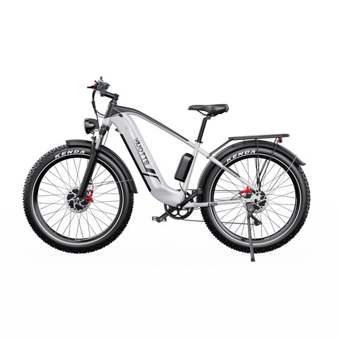 Duotts F26 Electric Bike - 750W*2 Motor 48V 20Ah Battery Not foldable - Silver White