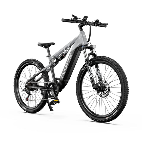 Duotts E29 Electric Bike - 250W Motor 48V13.5AH Battery Hydraulic Brakes - Silvery white