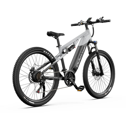 Duotts E29 Electric Bike - 250W Motor 48V13.5AH Battery Hydraulic Brakes - Silvery white
