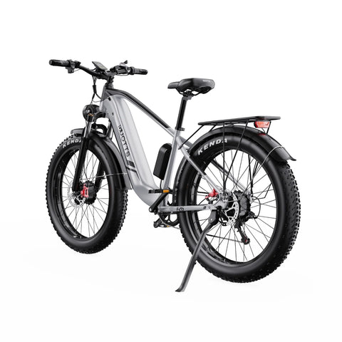Duotts F26 Electric Bike - 750W*2 Motor 48V 20Ah Battery Not foldable - Silver White