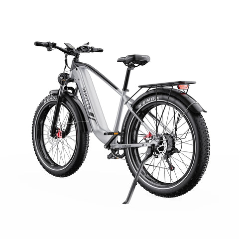 Electric Bike Duotts F26 Lite - Motor 500W Battery 48V18Ah 26" Tire Hydraulic Brake - Silver White