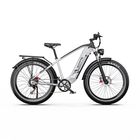 Electric Bike Duotts F26 Lite - Motor 500W Battery 48V18Ah 26" Tire Hydraulic Brake - Silver White