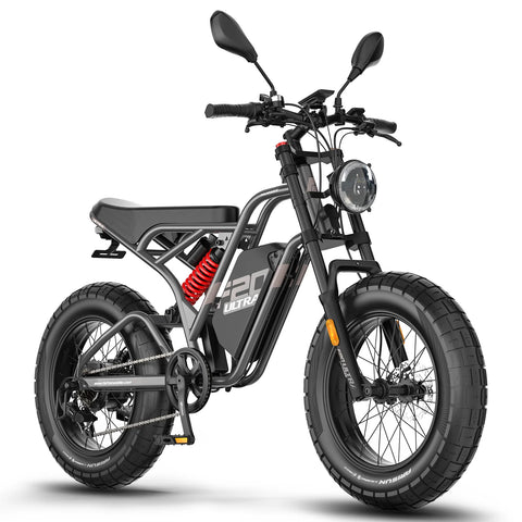 FAFREES F20 Ultra Upgraded Electric Bike - 750W Motor 48V25Ah Battery 20" Fat Tire Mechanical Disc Brakes - Gun color
