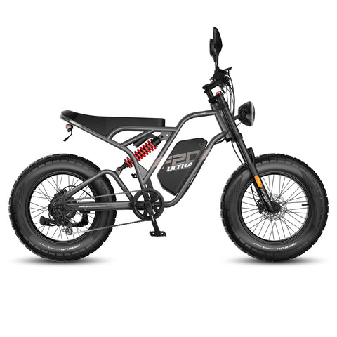FAFREES F20 Ultra Electric Bike - 750W Motor 48V25AH Battery 20" Fat Tire Hydraulic  Brake - Gun color