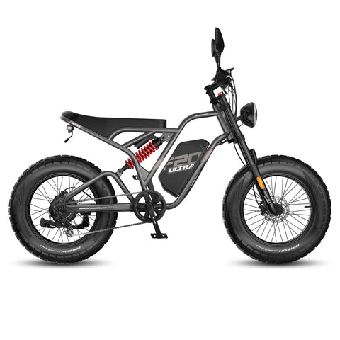 FAFREES F20 Ultra Upgraded Electric Bike - 750W Motor 48V25Ah Battery 20" Fat Tire Mechanical Disc Brakes - Gun color