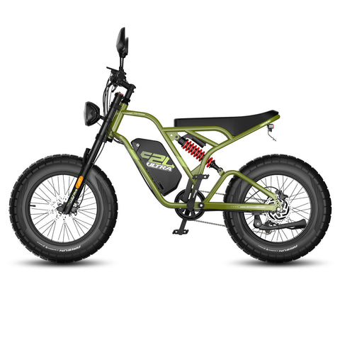 FAFREES F20 Ultra Electric Bike - 750W Motor 48V25AH Battery 20" Fat Tire Hydraulic  Brake - Military green