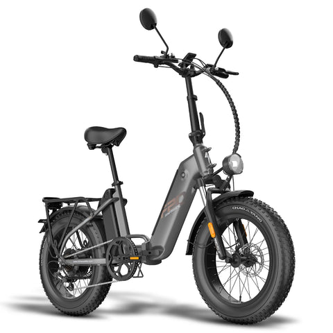 FAFREES FF20 Polar Electric Bike - 500W Motor 48V 13.4AH*2 Battery 20" Fat Tires - Gun Black