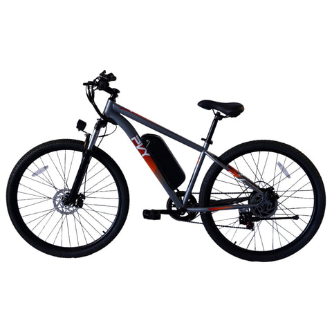 PVY M29 Electric Bike - 250W Motor 48V17.5AH Battery 29-inch Tires Mechanical Disc Brakes - Grey