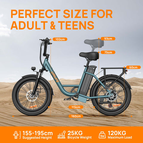Electric Bike URLIFE E20 - 250W Motor 48V 13Ah Battery 20 Inch Tires  Disc Brakes - Black