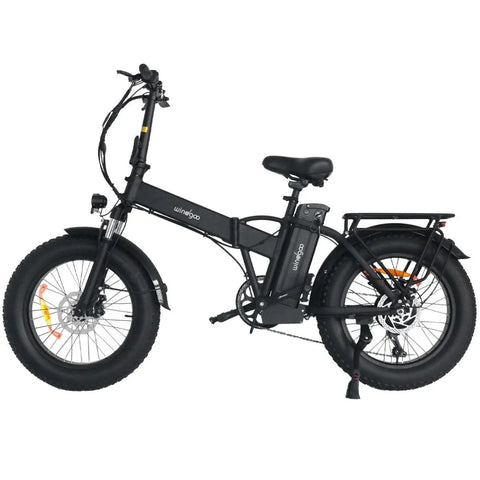 Windgoo F21 Pro Electric Bike - Motor 250W Battery 48V 12.5Ah 20x4.0 Inch Fat Tire Disc Brakes - Black