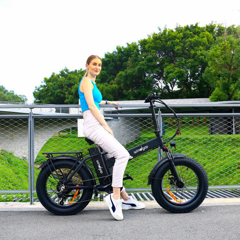 Windgoo F21 Pro Electric Bike - Motor 250W Battery 48V 12.5Ah 20x4.0 Inch Fat Tire Disc Brakes - Black
