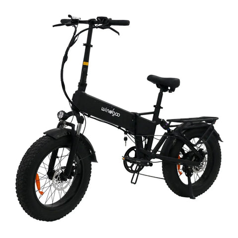 Windgoo F22 Pro Folding Electric Bike - Motor 250W Battery 48V 12.5Ah 20x4.0 Inch Fat Tire LCD - Black
