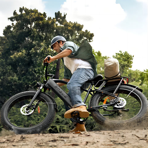 ENGWE E26 Electric Bike - 250W Motor 768WH Battery 140KM Range Disc Brakes - Gray