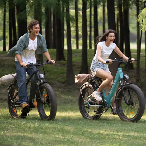 ENGWE E26 Electric Bike - 250W Motor 768WH Battery 140KM Range Disc Brakes - Gray