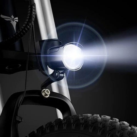 ENGWE X20 Electric Bike - 750W Motor 691.2WH Battery 64KM Range - Grey