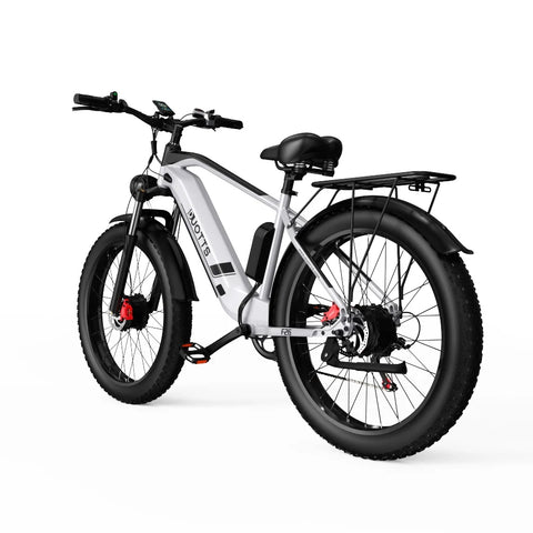 Duotts F26 Electric Bike - 750W*2 Motors 840WH Battery 50KM Range - Silver white