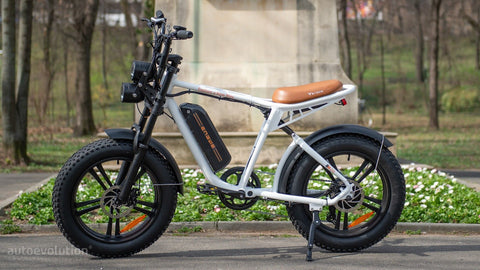 ENGWE M20 13AH Electric Bike 750W Motor, 624WH Battery, 60KM Range | Sleek White eBike for you!