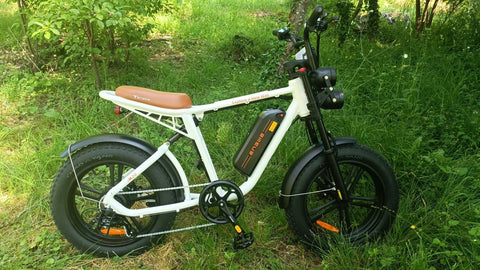 ENGWE M20 13AH Electric Bike 750W Motor, 624WH Battery, 60KM Range | Sleek White eBike for you!