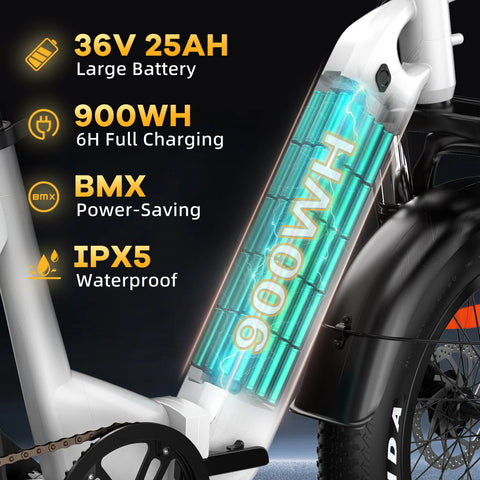 TTGO F6 Electric Bike – 250W Motor 36V25AH Battery 20 Inch Tires Oil Brakes – White Green