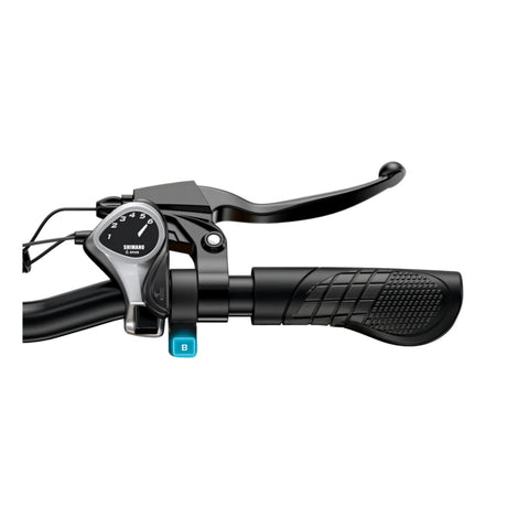 ENGWE EP-2 BOOST Electric Bike - 250W 624Wh 20x4.0 Fat Tires Hydraulic Brakes - Brown