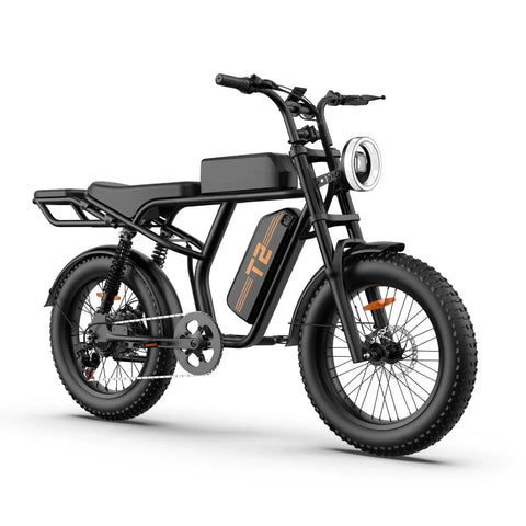 URLIFE T2 Electric Bike - Motor 250W Battery 48V 15.6Ah Pedal Assist Disc brakes - Black