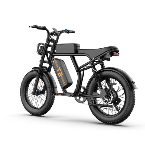 URLIFE T2 Electric Bike - Motor 250W Battery 48V 15.6Ah Pedal Assist Disc brakes - Black