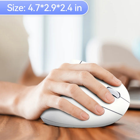 TECKNET TK-MS007 Wireless Ergonomic Silent Mouse - 6 DPI Levels -USB Plug - White