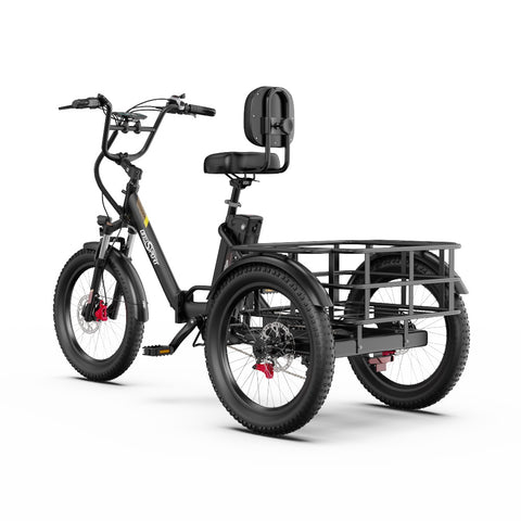 Electric Tricycle ONESPORT OT30 PRO - Motor 500W Battery 48V18AH 20 Inch Disc Brakes - Black