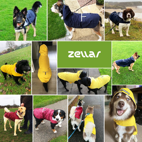 Zellar Z-RC003 Hooded Dog Raincoat with Reflective Stripes  - 3XL - Yellow