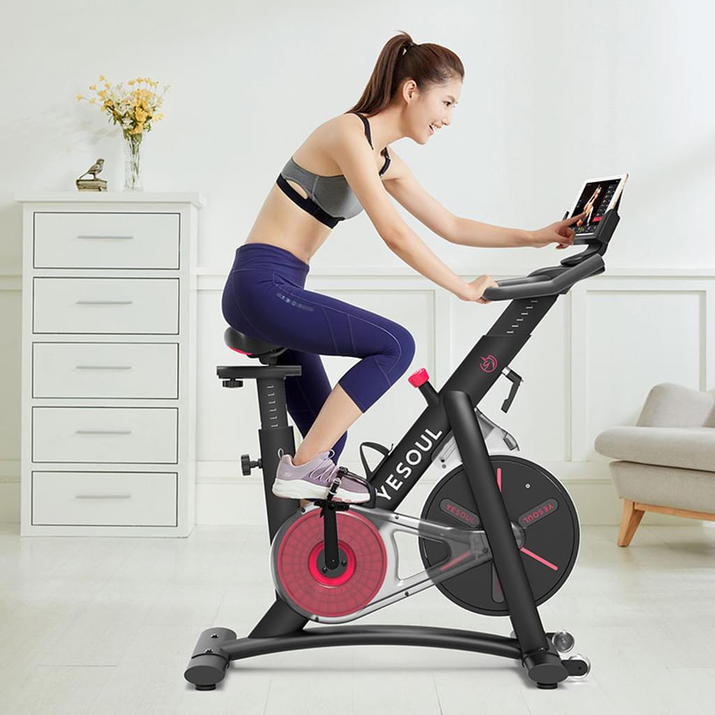 Exercise Bike YESOUL S3 Black