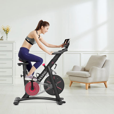 Exercise Bike YESOUL S3 Black