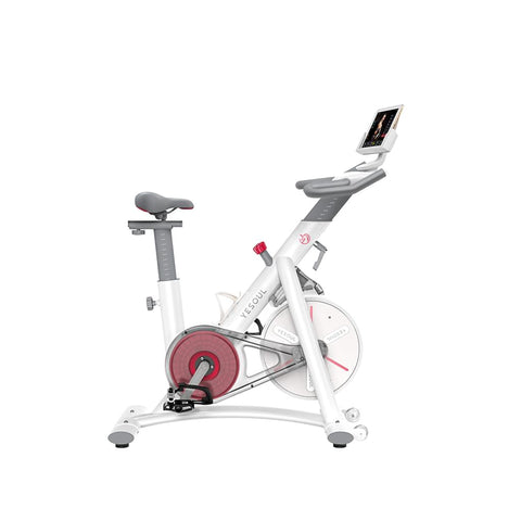 Exercise Bike YESOUL S3 White