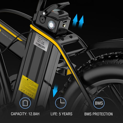 Electric  Bike JANOBIKE E20