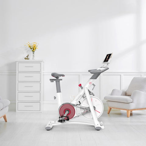 Exercise Bike YESOUL S3 White